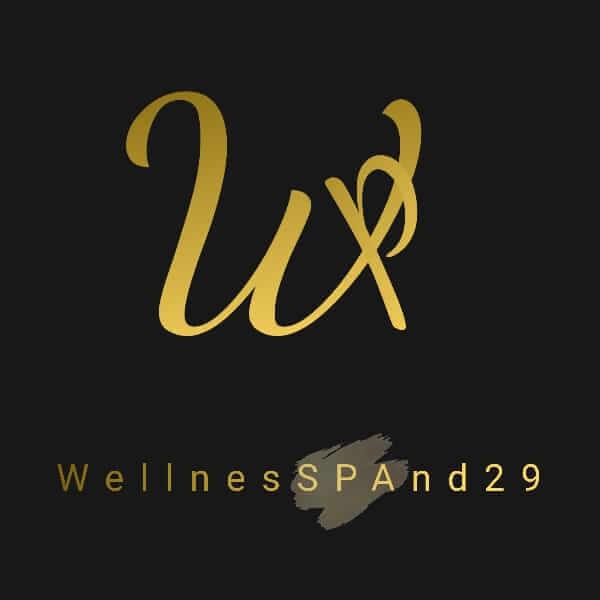 Privé Sauna - WellnesSPAnd 29 logo